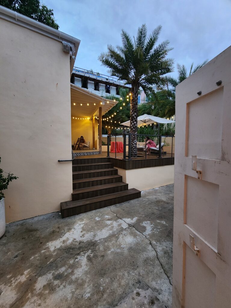 palm tree in tropical garden behind museum